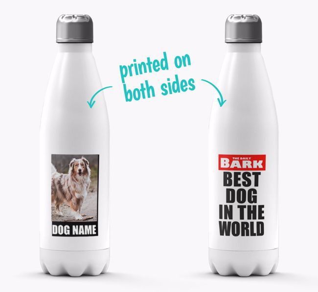'Best Dog in the World'- Personalised Photo Upload {breedFullName} Water Bottle